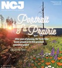 Portrait of a Prairie